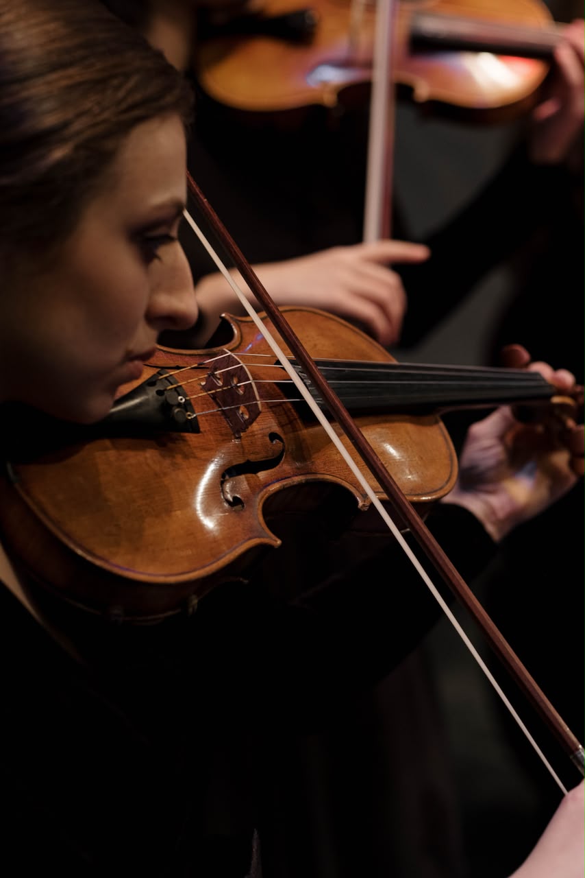 Violin